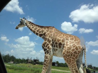 Photo by Emerson Gunning, who stayed in the car